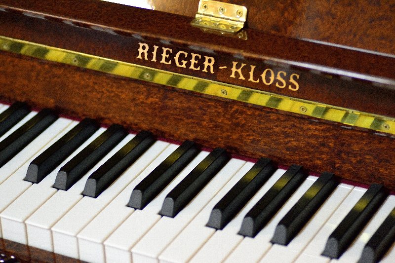 RIEGER-KLOSS（リーガークロス）122P デミチッピンデール